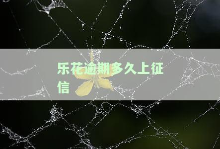 乐花卡逾期了有什么后果，警惕！乐花卡逾期的严重后果