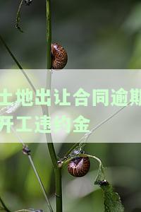 土地出让期竣工违约金1‰，详解：土地出让期竣工违约金的计算方式与比例