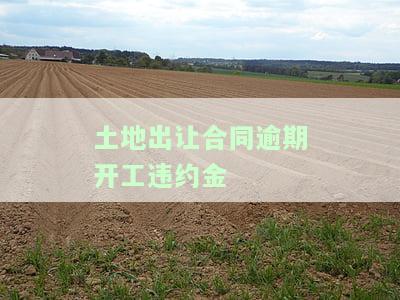 土地出让金逾期违约金，未按时支付土地出让金？了解逾期违约金的相关规定！