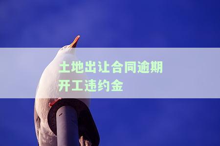 土地出让合同逾期开工违约金-土地出让合同逾期竣工违约金