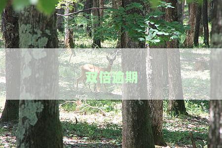 双倍逾期-双倍逾期利息是多少