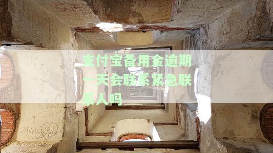 支付宝备用金逾期了一天就不能再借了吗，支付宝备用金逾期一天是否会影响再次借款？