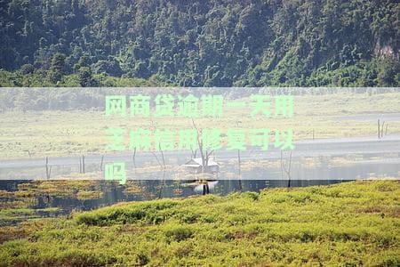 网商贷逾期能修复吗，如何修复网商贷逾期记录？
