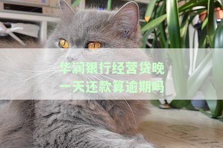 华润银行经营贷晚一天还款是否算逾期？解决方案是什么？