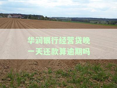 华润银行经营贷，华润银行推出经营贷，助力企业发展