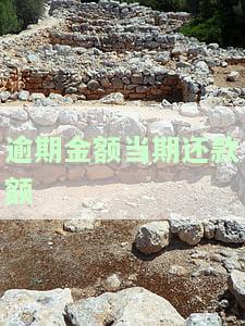 逾期金额和当期还款额，逾期金额与当期还款额：理解个人财务状况的关键