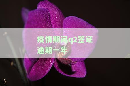 疫情期间q2签证到期，疫情期间如何处理Q2签证过期问题？