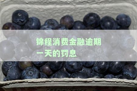锦程消费金融晚了一天，逾期一天还款，影响信用记录？了解锦程消费金融的还款政策