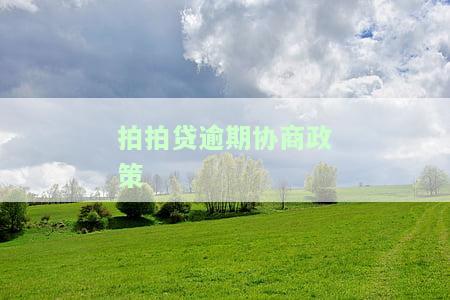 拍拍贷最后协商，成功协商：拍拍贷解决方案