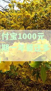 支付宝1000元逾期一年要还多少钱呀，支付宝逾期一年，1000元需要偿还多少？
