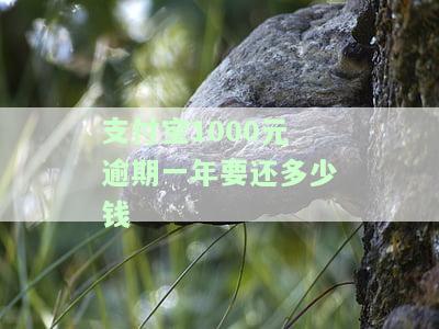 支付宝1000逾期一年亲身经历，警示：支付宝1000元逾期一年的亲身经历
