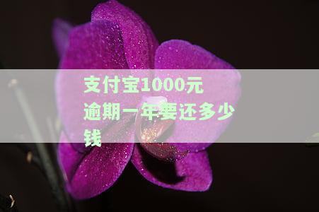 支付宝1000元逾期一年要还多少钱