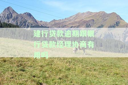 2020年建行逾期协商技巧，2020年建设银行逾期解决策略：实用的协商技巧分享