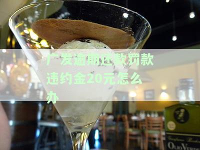 如何处理发信用卡逾期还款罚款违约金20元？详解计算方法