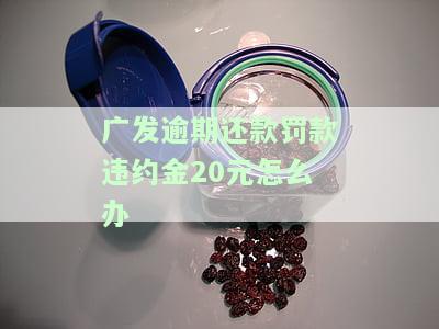 发逾期还款罚款违约金20元怎么办？