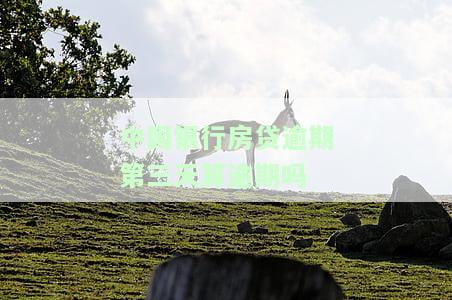 中国银行房贷逾期三天会产生何种影响？