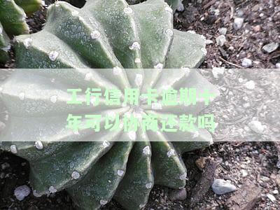工行信用卡逾期十年可以协商还款吗知乎，工行信用卡逾期十年，能否通过协商达成还款协议？——知乎上的讨论