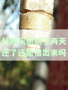 分期乐逾期2天后还款，能否继续使用？会影响征信吗？