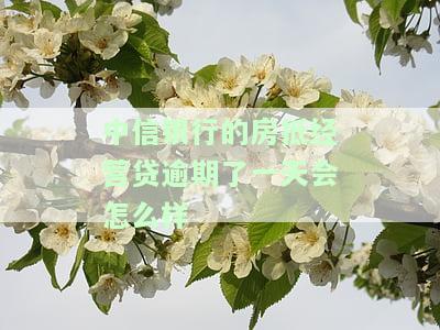 中信银行房贷逾期一天会进入征信系统吗？