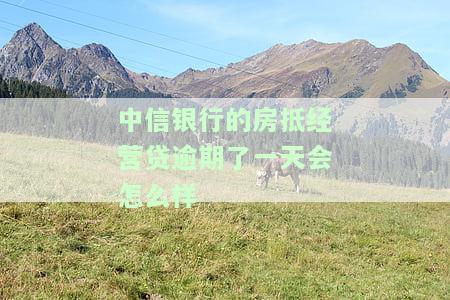 中信银行房贷还款逾期一天补救办法，如何解决中信银行房贷还款逾期一天的问题？
