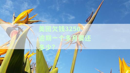 美团欠钱3250逾期一个多月要还多少?-美团欠钱3250逾期一个多月要还多少钱