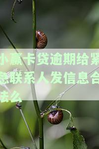 小赢卡贷逾期给紧急联系人发信息合法么是真的吗，小赢卡贷逾期后，紧急联系人收到信息是否合法？真相揭秘！