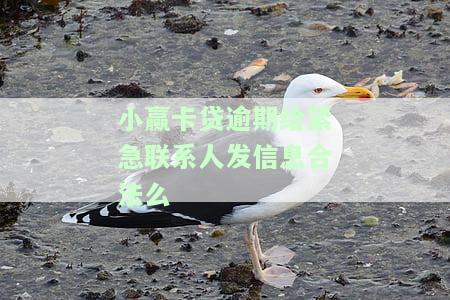 小赢卡贷会给紧急联系人打电话吗，解答疑惑：小赢卡贷是否会致电紧急联系人？