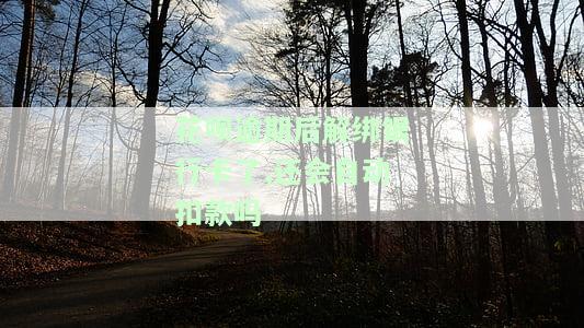 花呗逾期后解绑银行卡了,还会自动扣款吗安全吗，花呗逾期后解绑银行卡，还会自动扣款吗？安全问题解析