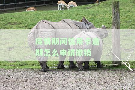疫情期间信用卡逾期如何申请撤销征信记录？