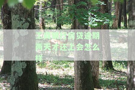 工商银行房贷逾期2天再还款，系统会自动扣款吗？