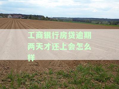 工行房贷逾期两天还款会怎么样，工行房贷逾期两天：可能产生的后果和应对策略