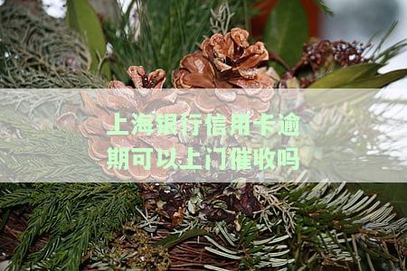上海银行上门办信用卡可靠吗？了解安全风险与保障措