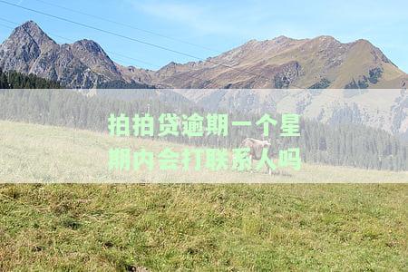 拍拍贷逾期一周会打联系人吗？真相曝光！