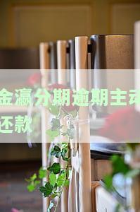 金瀛分期逾期会怎样？影响及解决办法全解析
