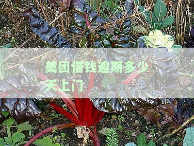 美团借钱逾期多少天上门-美团借钱逾期多久会打电话给紧急联系人吗