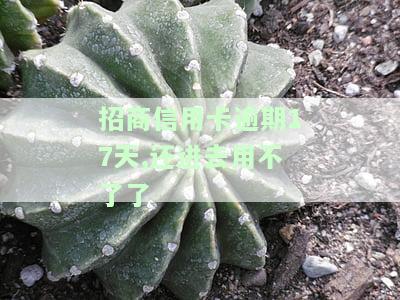 招商信用卡逾期17天,还进去用不了了怎么回事，招商信用卡逾期17天后还款，为何仍然无法使用？