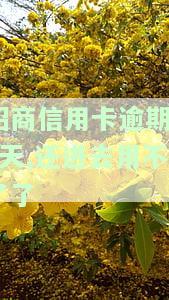 招商信用卡10元逾期十几天处理方法及影响