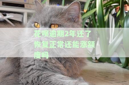 花呗逾期了两年了,现在还了,怎么可以恢复使用，如何恢复花呗使用：处理逾期两年的欠款
