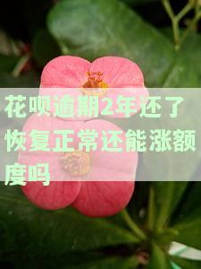 花呗逾期两年还清后有恢复的案例吗？真实经历分享与解决方案