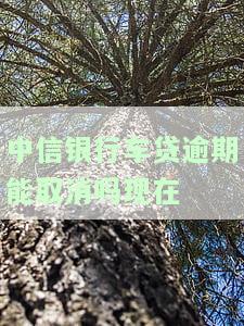 中信银行车贷逾期能否取消？现在应如何处理？