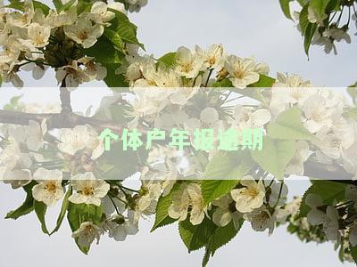 个体户年报逾期怎么补报，个体户年报逾期怎么办？教你如何补报！