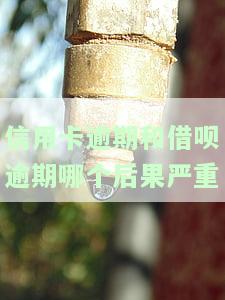信用卡逾期和借呗逾期哪个后果严重