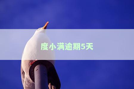 度小满逾期5天会爆通讯录吗，逾期5天，度小满是否会爆通讯录？