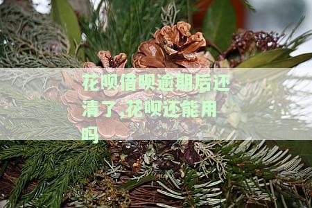 花呗逾期后，借呗能否继续使用？还清欠款后能否恢复？