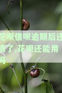 花呗借呗逾期后还清了,花呗还能用吗