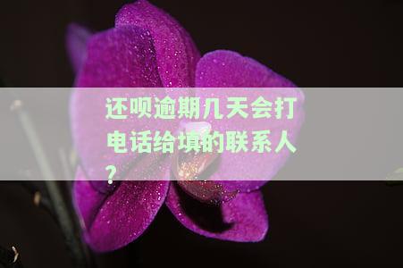 还呗逾期两天会拨打紧急联系人电话吗，关于还呗逾期两天是否会拨打紧急联系人电话的解答