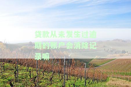 贷款从未逾期过会影响个人征信吗？了解其对信用记录的影响及解决方案