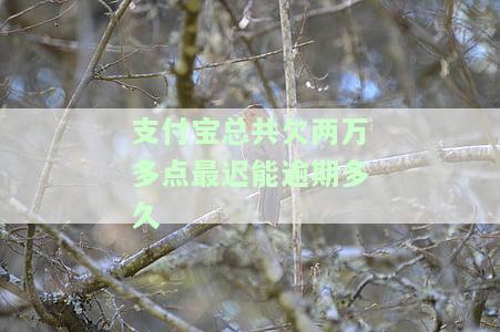 支付宝总共欠两万多点最迟能逾期多久