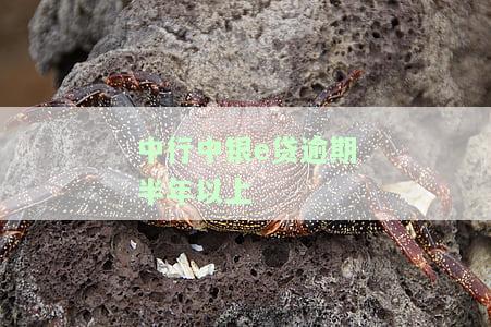 中银e贷期半年还不上，中银e贷期半年未还，面临何种后果？