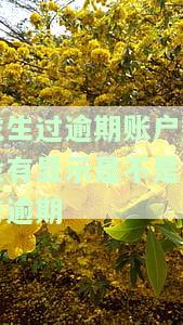 发生过逾期的账户数没有，零逾期：我们的账户全部按时还款
